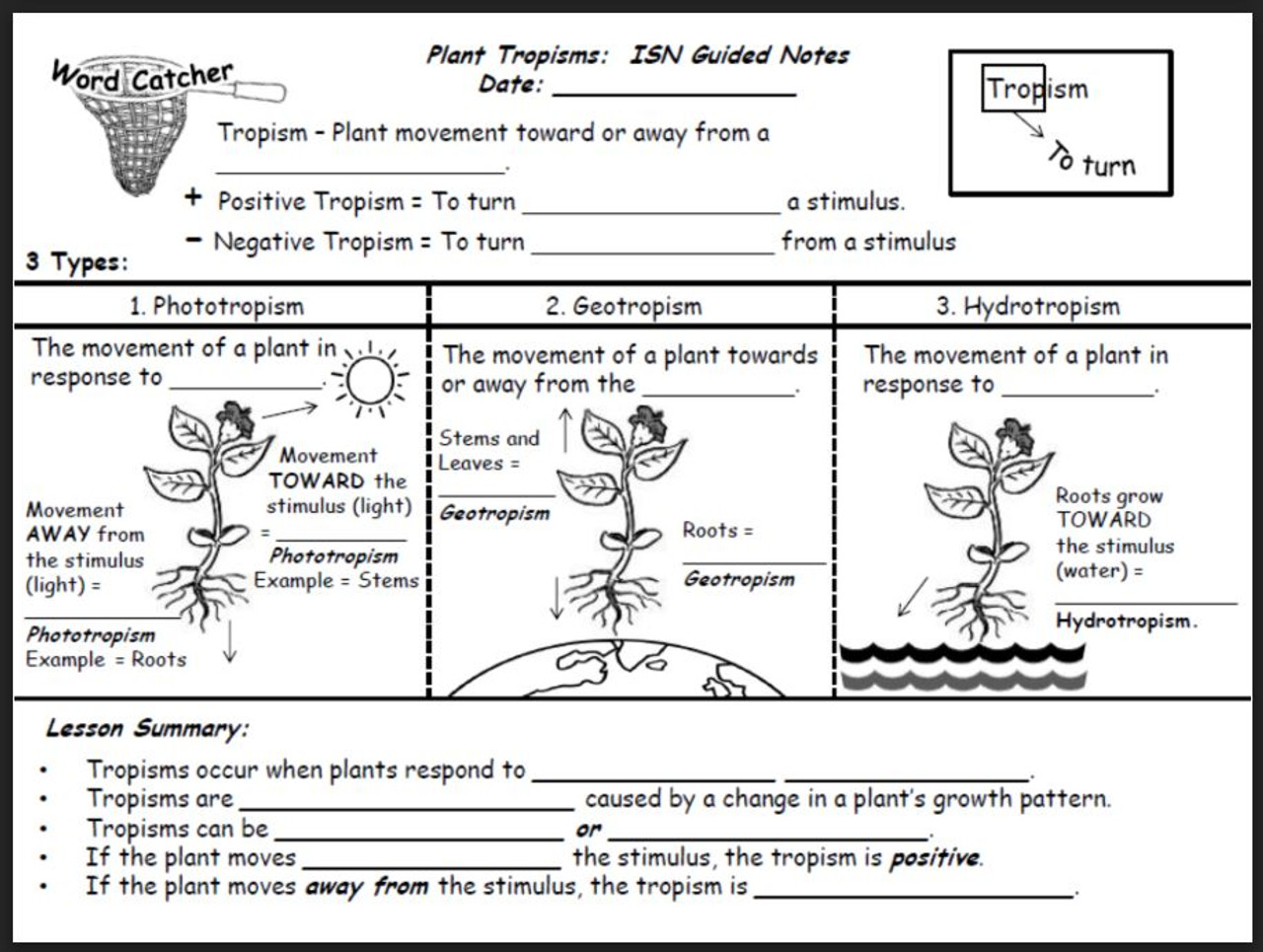 Plant tropisms color by number answer key