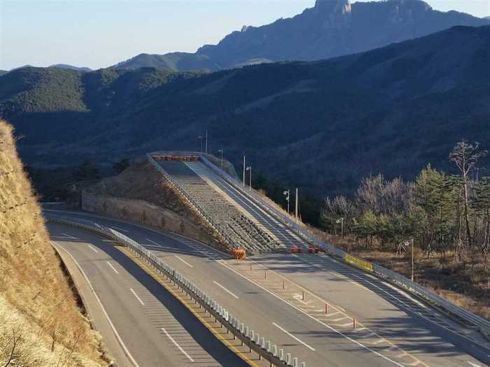 Truck escape ramps cdl test