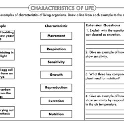 Characteristic of living things worksheet