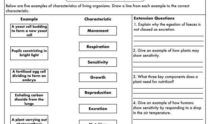 Characteristic of living things worksheet