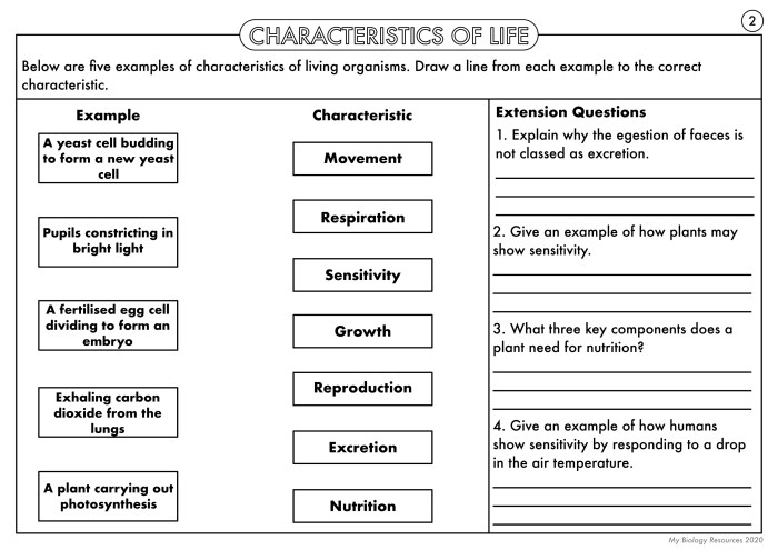 Characteristic of living things worksheet