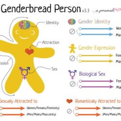 Gender explained binary genderbread person breaking continuums through using version