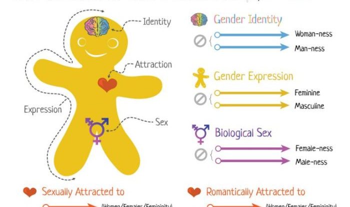 Gender explained binary genderbread person breaking continuums through using version