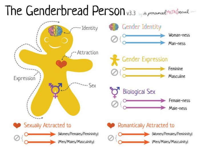 Gender explained binary genderbread person breaking continuums through using version