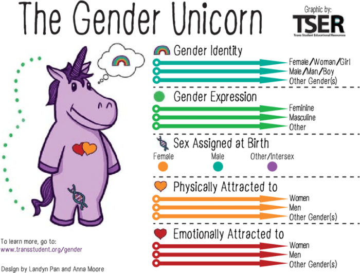 Gender unicorn vs genderbread person