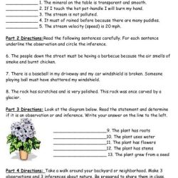 Worksheet on observation and inference