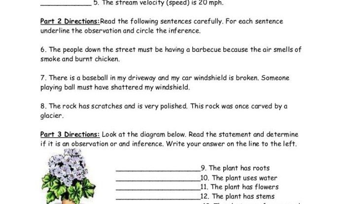 Worksheet on observation and inference