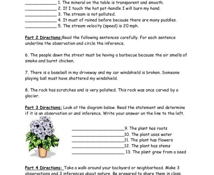 Worksheet on observation and inference