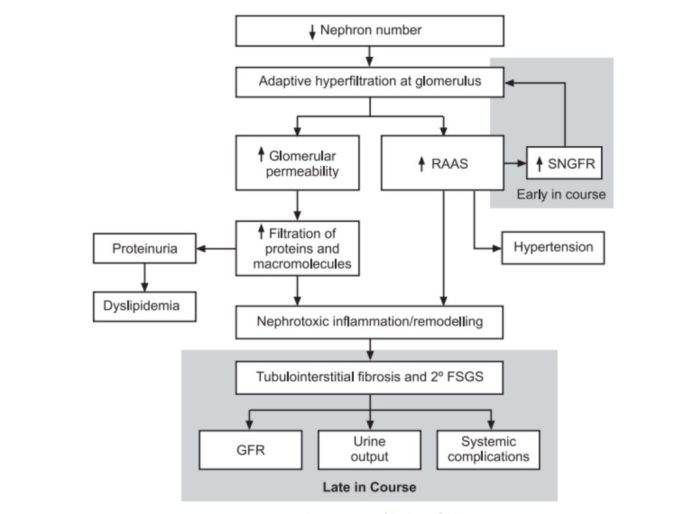 Polycystic kidney disease study adpkd progression autosomal shows diagnostics diet simple does ketogenic treated medical barbara santa recent california university