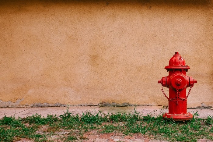 How much does a fire hydrant weigh