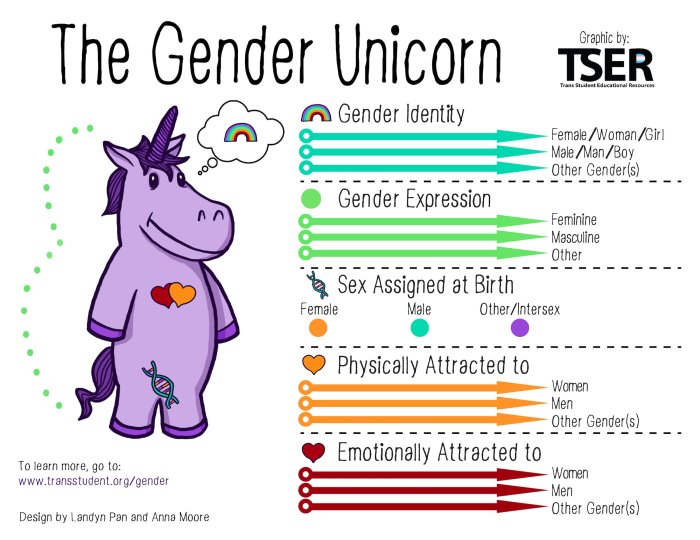 Gender unicorn vs genderbread person