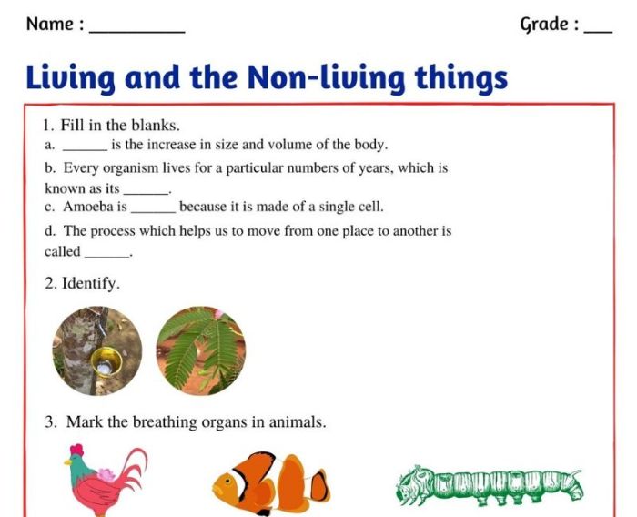 Cp classification nonliving preschool obtain energy environment reproduce