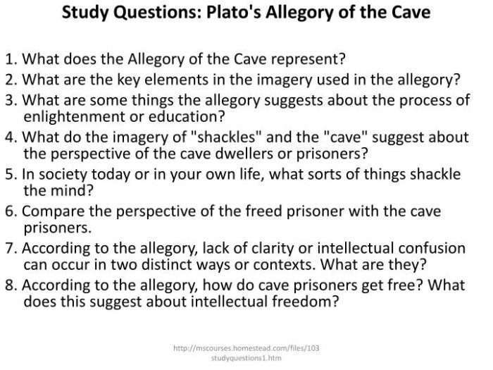 The allegory of the cave questions