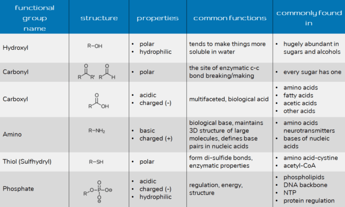 Organic chemistry functional groups cheat sheet