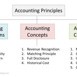 Fundamental financial accounting concepts 11th edition pdf