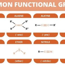 Organic chemistry functional groups cheat sheet