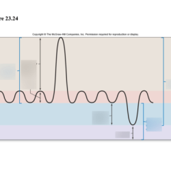 Respiratory tidal lung volumes inspiratory anatomy physiology